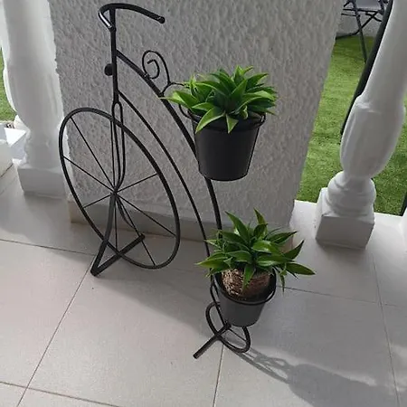 In La Marina With Cozy Garden And Private Solarium Holiday home San Fulgencio